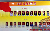 yy易游体育集团党委开展党员承诺活动